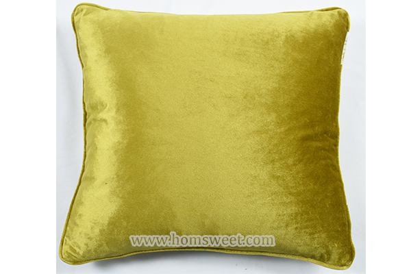 Luxury Embroidery Velvet Pillow       